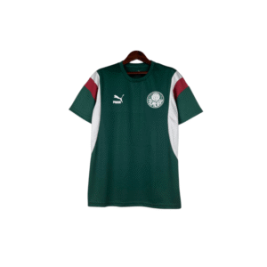 camiseta sociedade esportiva palmeiras 2023/24