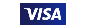 logo visa 300x100