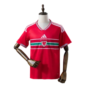 camiseta selecciÓn argentina mundial 2026 (copia)
