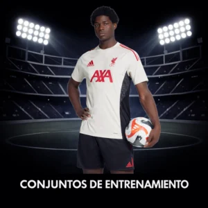 Conjuntos de Entrenamiento