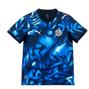 camiseta selecciÓn paraguay mundial 2026 (copia)